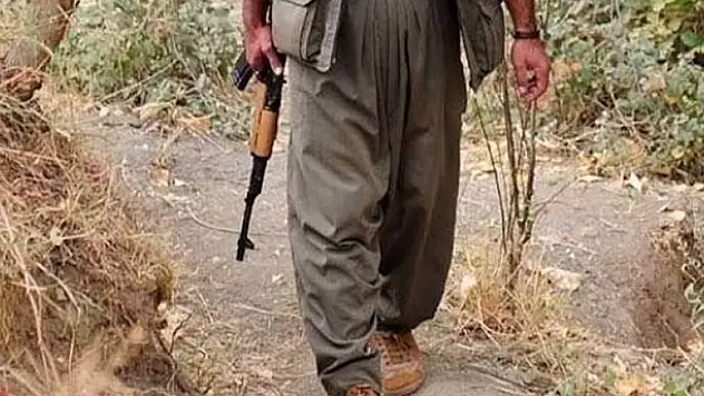 Irak'ta aşiretler PKK'ya karşı birleştiler