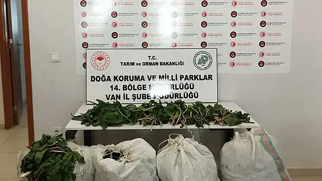 İran uyruklu kişiye biyoçeşitliliği tahripten toplam 387 bin 141 lira ceza verildi

