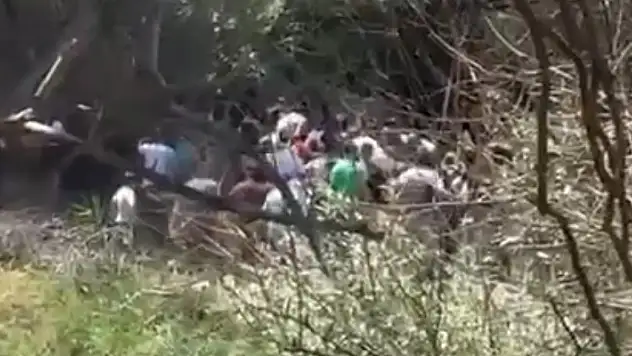 Irmağa düşen çocuk ve kendisini kurtarmaya çalışan babaannesi ölümden döndü
