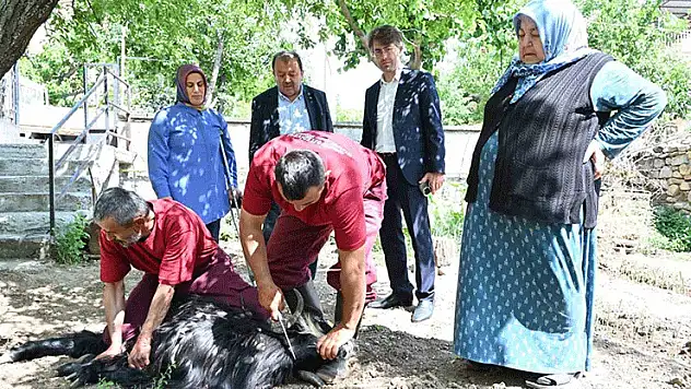 Isparta Belediyesi evlere giderek tek tek kurbanları kesti