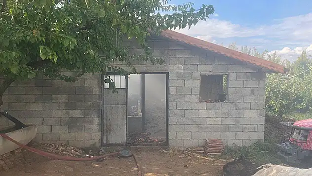 Isparta'da besihanedeki yangında 3 hayvan öldü, dumandan etkilenen 5 kişi hastanelik oldu
