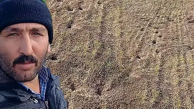 Isparta'da fare istilası! 'Tarlayı tertemizler etmişler zarar büyük, yanıyorum'
