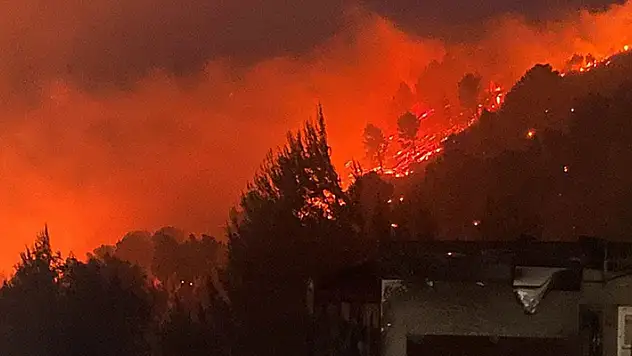 İsrail'in kuzeyindeki yangınlar için bölgeye takviye ekipler gönderilmesi istendi
