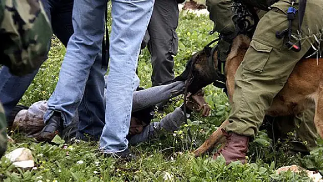 İsrail köpekli işkenceyi geçici olarak durdurdu
