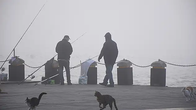 İstanbul Boğazı'nda gemi trafiği askıya alındı bazı vapur seferleri iptal oldu