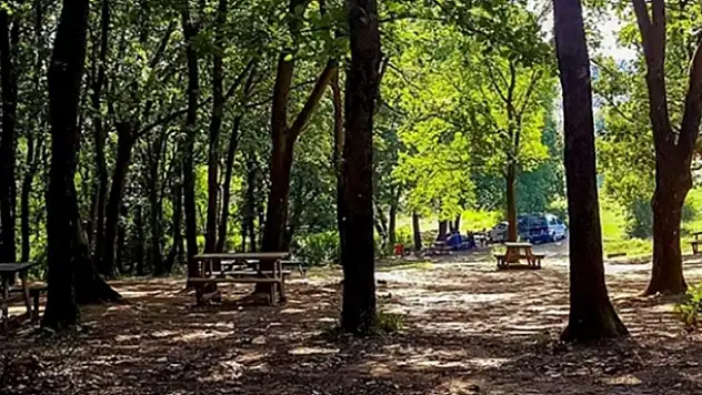 İstanbul'da C tipi mesire yeri işletme hakkı kiraya verilecek