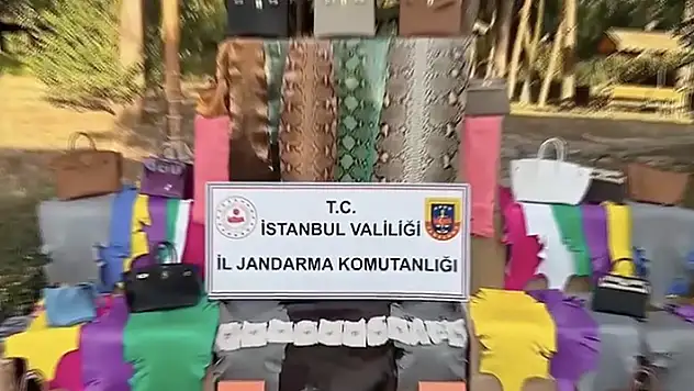 İstanbul'da düzenlenen operasyonda çok sayıda yabani hayvan derisi ele geçirildi
