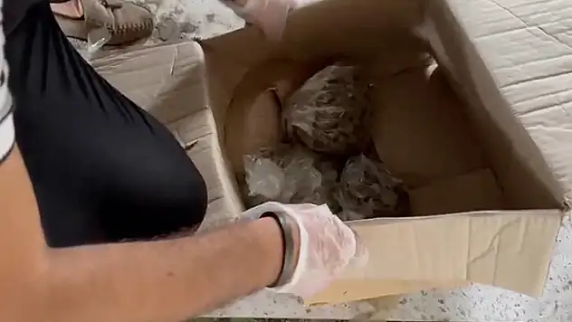 İstanbul'da metruk binada çok sayıda tarihi eser ele geçirildi
