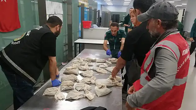 İstanbul Havalimanı'nda 20 bin adet canlı tıbbi sülük ele geçirildi
