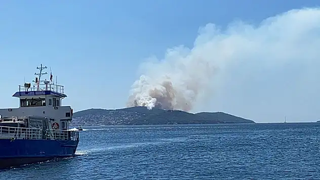 İstanbul Heybeliada'da çıkan yangın kontrol altına alındı