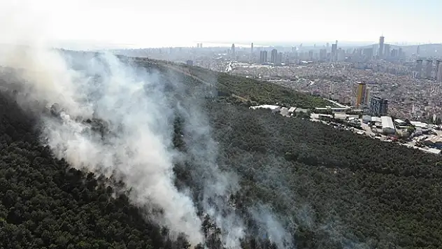 İstanbul Kayışdağı ormanında yangın çıktı