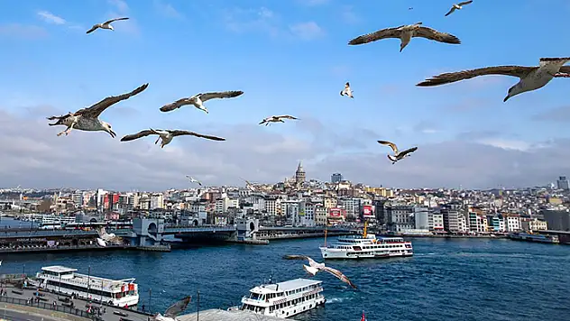 İstanbul seçim sonuçları netleşti
