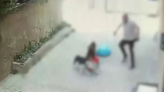 İstanbul'da pitbull cinsi köpeğin saldırdığı çocuk yaralandı