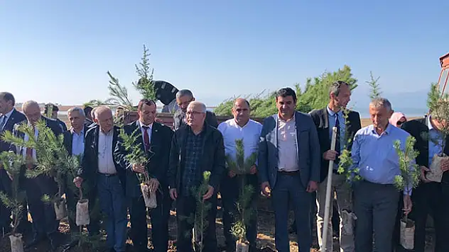 İstanbullu muhtarlar Konya'da fidan dikti