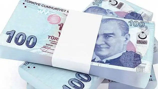 İşte Türkiye'nin en çok vergi ödeyen ünlüleri
