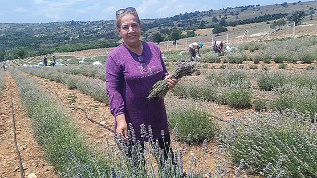 İsviçre'den Konya'ya gelen kadın, terapi sayesinde tanıştığı lavantanın üreticisi oldu
