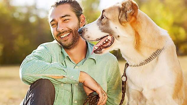 İsviçreli bilim insanları: Köpekler sakallı erkeklerden daha temiz