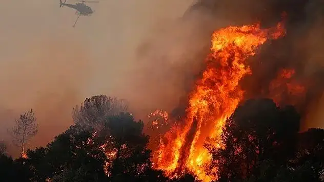 İtalya'da orman yangınları devam ediyor: 2 itfaiye eri hayatını kaybetti
