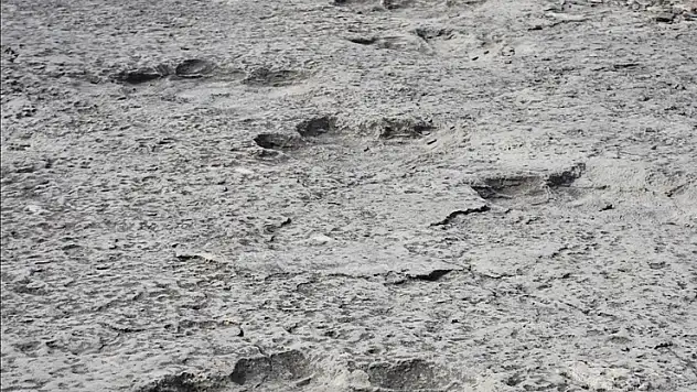 İtalya'da 200 milyon yıl öncesinden kaldığı düşünülen binlerce dinozor ayak izi keşfedildi