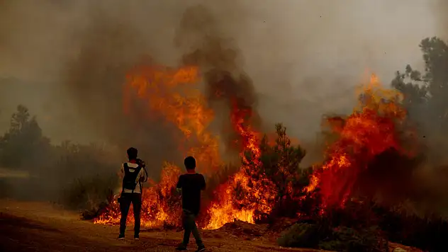 İtfaiye erleri Manavgat'ta alevleri söndürmeye çalışırken büyük tehlike atlattı! Dehşete düşüren anlar
