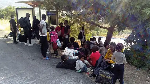 İzmir'de 42 sığınmacı yakalandı