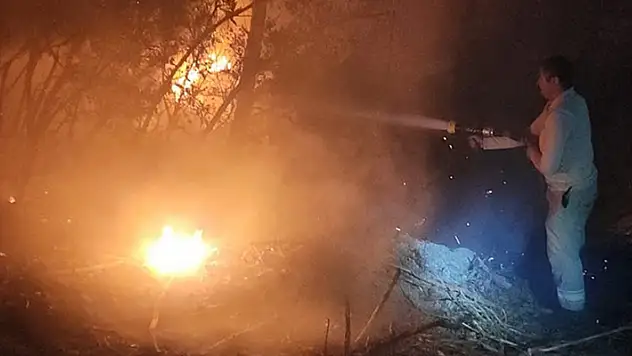 İzmir'de çıkan orman yangınına müdahale ediliyor
