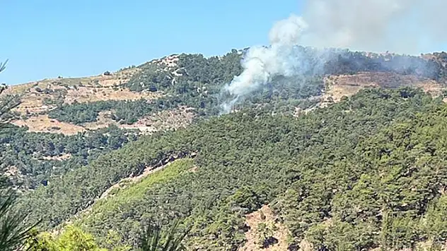 İzmir'de çıkan orman yangınına müdahale ediliyor
