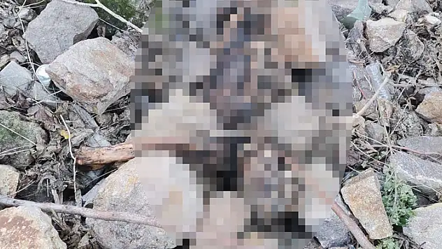 İzmir'de Tarihi Asansör yakınında insan iskeleti bulundu


