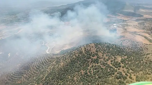 İzmir'de tarlada başlayan ve bozuk ormana sıçrayan yangına müdahale ediliyor
