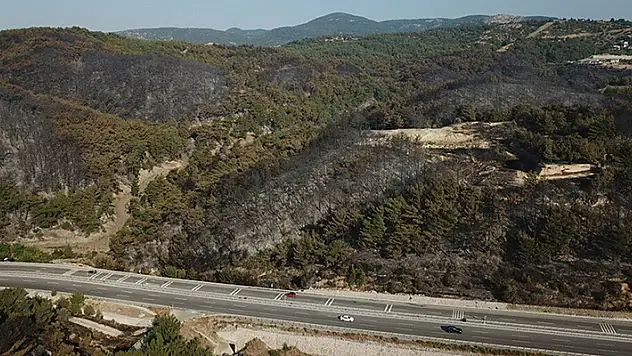 İzmir'deki orman yangınında 2'nci gün
