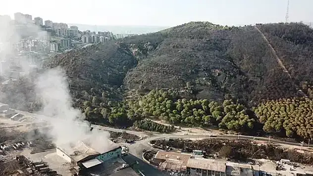 İzmir'deki orman yangınlarına havadan ve karadan müdahale sürüyor
