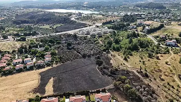İzmir'deki yangın 4 saatte kontrol altına alındı, 15 hektar zeytinlik zarar gördü
