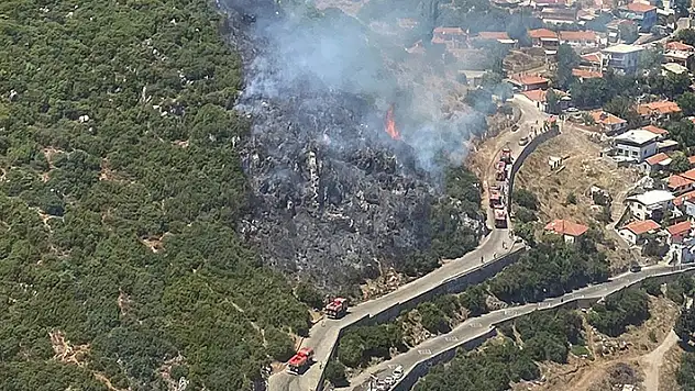 İzmir'in Kemalpaşa ilçesinde orman yangını çıktı
