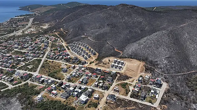 İzmir ve Bilecik'in orman yangınından etkilenen ilçeleri 'Genel Hayata Etkili Afet Bölgesi' ilan edildi