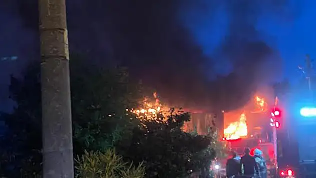 İzmir'de besi çiftliğinde çıkan yangında 4 büyükbaş öldü
