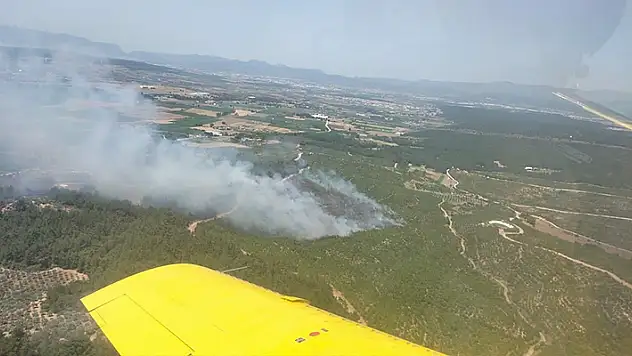 İzmir'de orman yangını: Ekiplerin müdahalesi sürüyor

