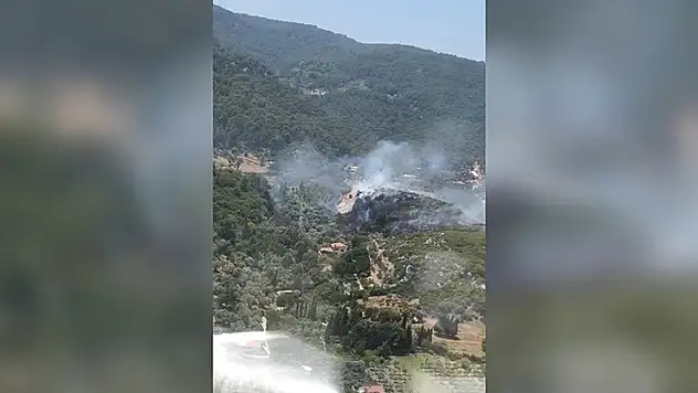 İzmir'in Kemalpaşa ilçesinde çıkan orman yangınına müdahale ediliyor