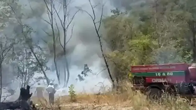 İznik'te orman yangını