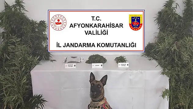 Jandarma eve yaptığı baskında 307 gram esrar ile 24 kök kenevir ele geçirdi
