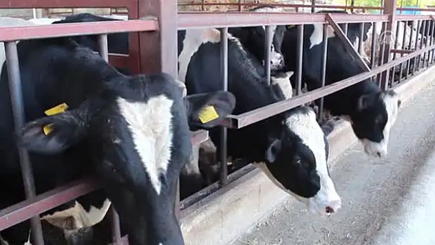 Jandarma Konya'da besicileri uyardı!