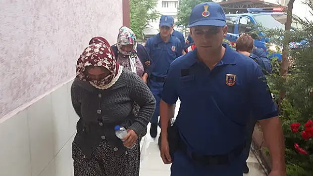Jandarmada yakalanan suç makinesi 5 kişi tutuklandı