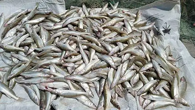 Jandarmadan Beyşehir Gölü'nde Yavru Balık Denetimi