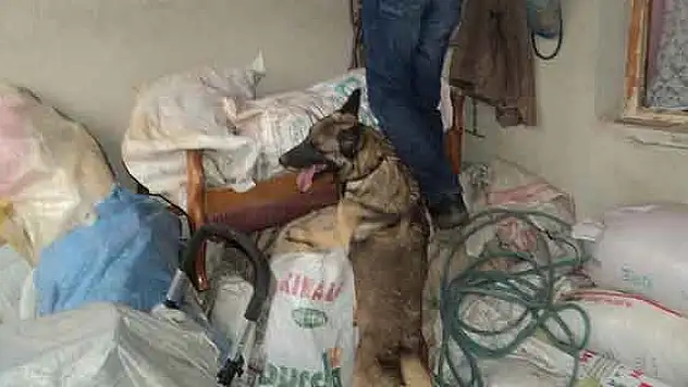 Jandarmadan uyuşturucu operasyonu