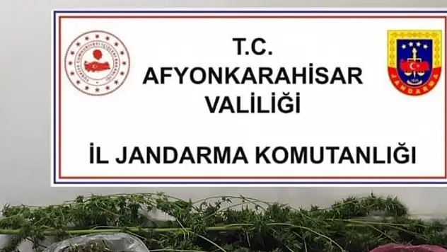 Jandarmadan uyuşturucu ve tarihi eser operasyonu