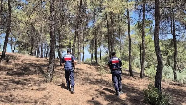 Jandarmanın 'orman' nöbeti aralıksız devam ediyor