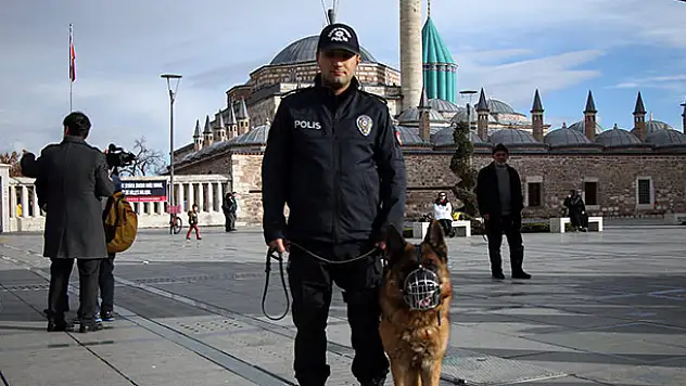 K-9'lar, Şeb-i Arus'ta Görev Başında
