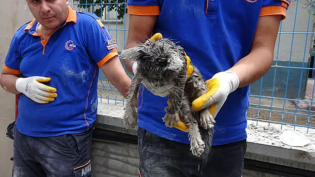 Kablo borusunda sıkışan kedi kurtarıldı