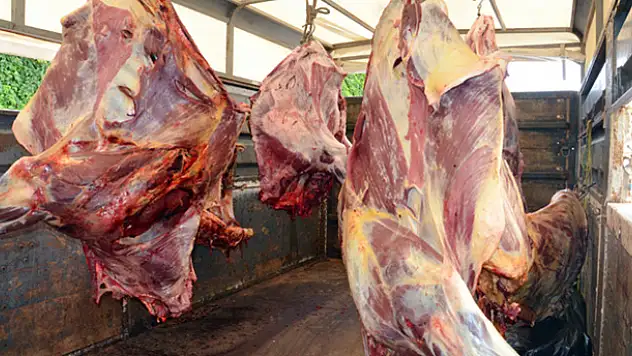 Kaçak et operasyonunda tam 43 ton kaçak et ele geçirildi