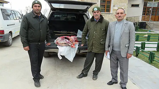 Kaçak yaban keçisi avına 16 bin lira ceza