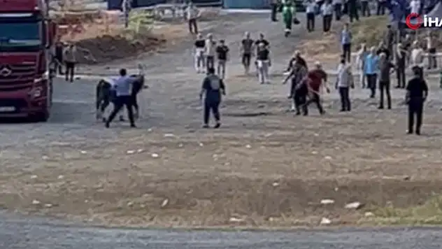 Kaçan kurbanlıklar vatandaşlara zor anlar yaşattı
